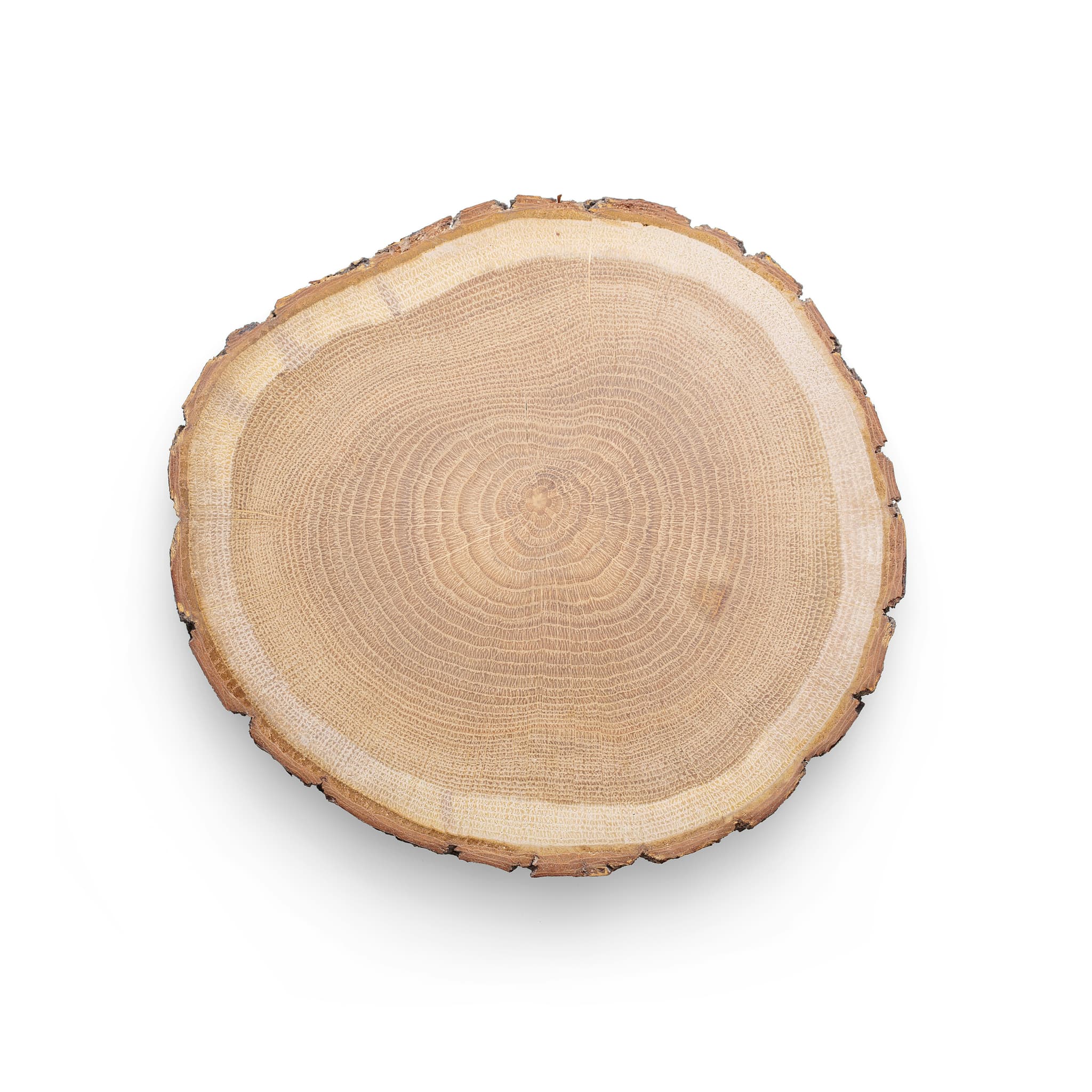 Listing photo: a round wood slice with a bark edge, top-down on white